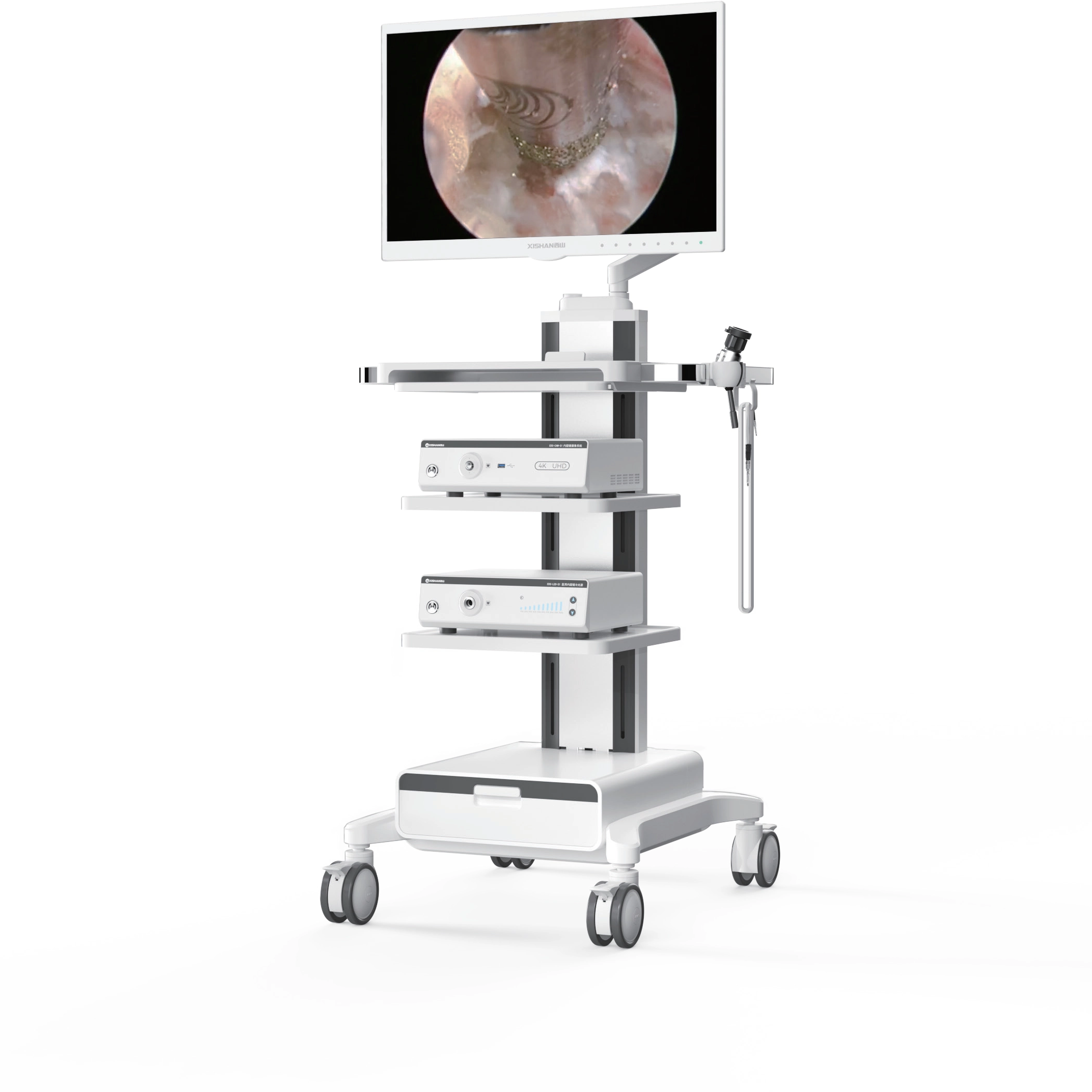 4K UHD Endoscopy System